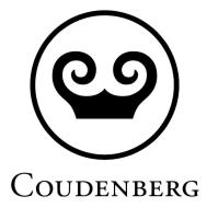 Coudenberg ondergrondse zoektocht
